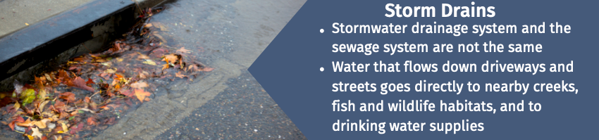 Image of a storm drain on the left side with bulleted text on the right with two bullets first reading "Stormwater drainage system and the sewage system are not the same" second bullet reading "Water that flows down driveways and streets goes directly to nearby creeks, fish and wildlife habitats, and to drinking water supplies"