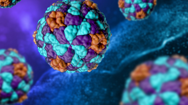 Vaccine landing Page 3