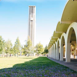 rivera library arches