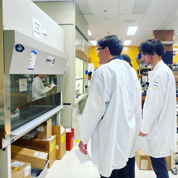 two students in white lab coats looking at t biosafety cabinet