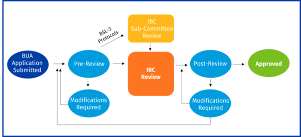 BUA approval process flow chart