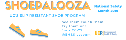 Shoepalooza Information Flyer