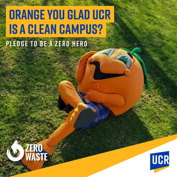 Zero Waste