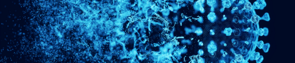 COVID-19 cell