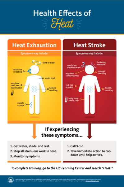 Health Effects of Heat Inforgraphic