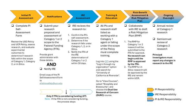 image of IRE review process