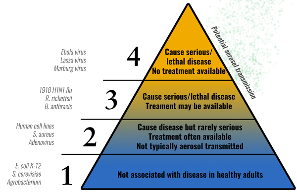 Risk Group Triangle