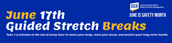Join us on June 17th for guided stretch breaks