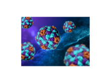 Vaccine landing Page 3