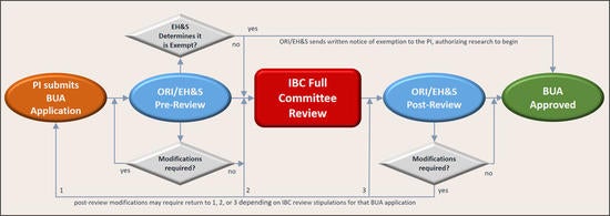 IBC Flow Chart